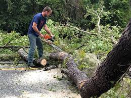 Best Lot and Land Clearing  in Hauppauge, NY